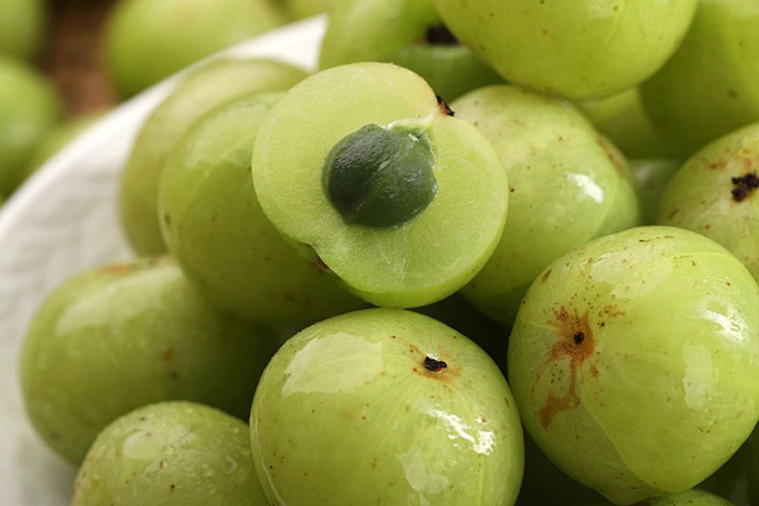 药食同源小知识 | 身怀‘宝藏’，‘余甘’难忘